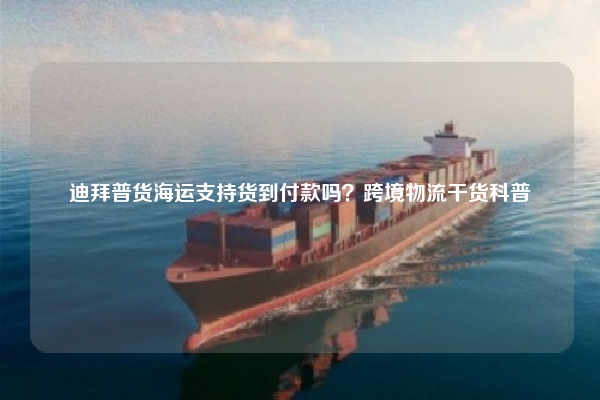 迪拜普货海运支持货到付款吗?跨境物流干货科普